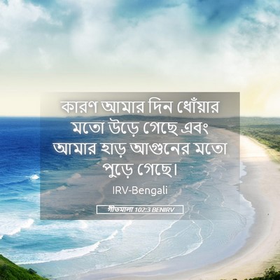 Picture 05 - গীতমালা 102:3 BENIRV - কারণ আমার দিন - Bible Verse Picture