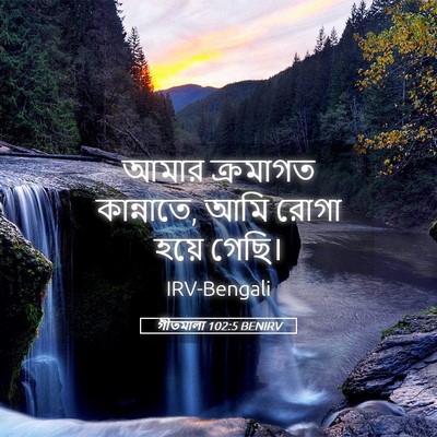 Picture 05 - গীতমালা 102:5 BENIRV - আমার ক্রমাগত - Bible Verse Picture