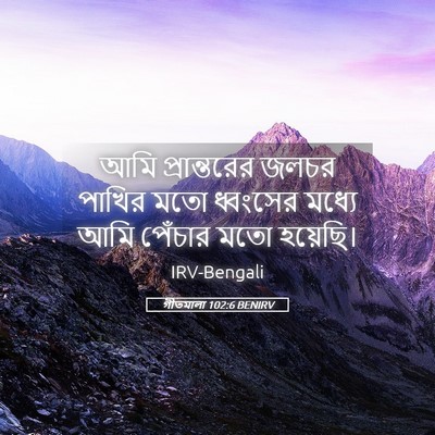 Picture 05 - গীতমালা 102:6 BENIRV - আমি প্রান্তরের - Bible Verse Picture