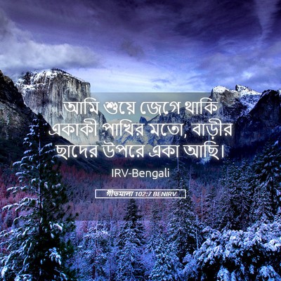 Picture 05 - গীতমালা 102:7 BENIRV - আমি শুয়ে জেগে - Bible Verse Picture