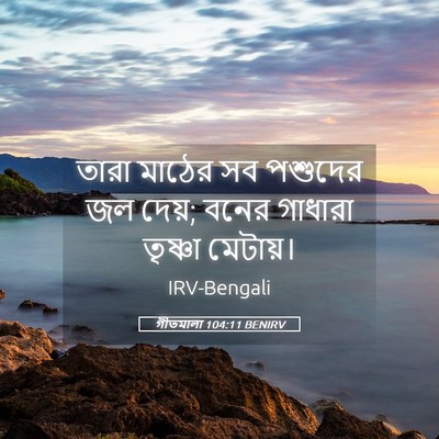 Picture 05 - গীতমালা 104:11 BENIRV - তারা মাঠের সব - Bible Verse Picture
