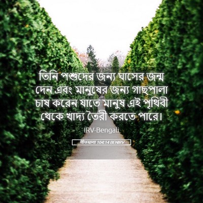 Picture 05 - গীতমালা 104:14 BENIRV - তিনি পশুদের জন্য - Bible Verse Picture