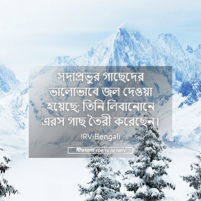 Picture 05 - গীতমালা 104:16 BENIRV - সদাপ্রভুুর - Bible Verse Picture
