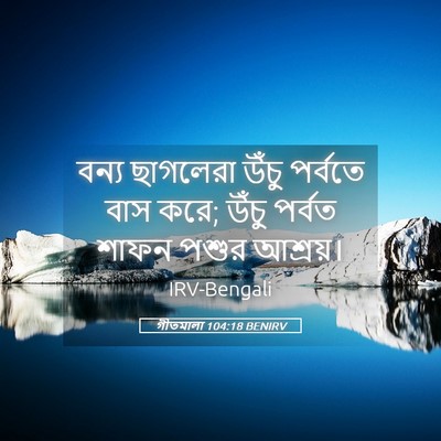 Picture 05 - গীতমালা 104:18 BENIRV - বন্য ছাগলেরা উঁচু - Bible Verse Picture