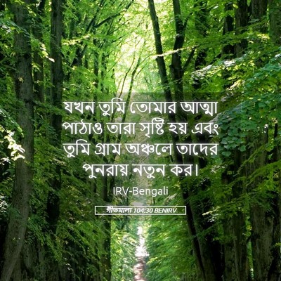 Picture 05 - গীতমালা 104:30 BENIRV - যখন তুমি তোমার - Bible Verse Picture