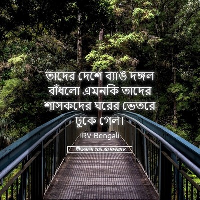 Picture 05 - গীতমালা 105:30 BENIRV - তাদের দেশে ব্যাঙ - Bible Verse Picture