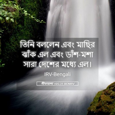Picture 05 - গীতমালা 105:31 BENIRV - তিনি বললেন এবং - Bible Verse Picture