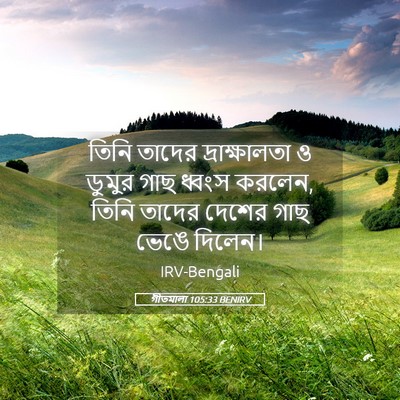 Picture 05 - গীতমালা 105:33 BENIRV - তিনি তাদের - Bible Verse Picture