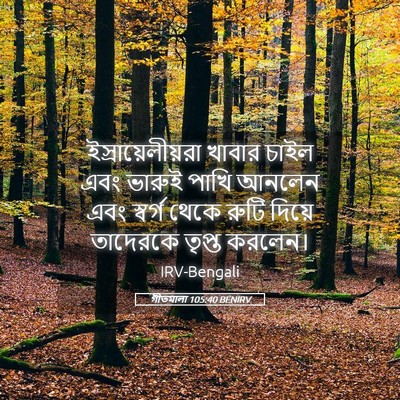 Picture 05 - গীতমালা 105:40 BENIRV - ইস্রায়েলীয়রা - Bible Verse Picture