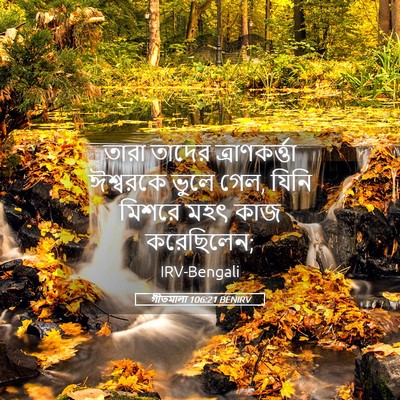 Picture 05 - গীতমালা 106:21 BENIRV - তারা তাদের - Bible Verse Picture