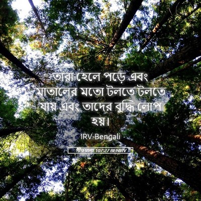 Picture 05 - গীতমালা 107:27 BENIRV - তারা হেলে পড়ে এবং - Bible Verse Picture