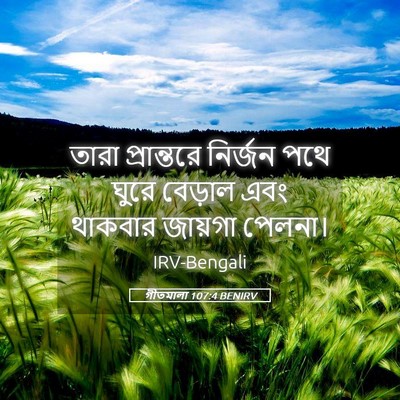 Picture 05 - গীতমালা 107:4 BENIRV - তারা প্রান্তরে - Bible Verse Picture