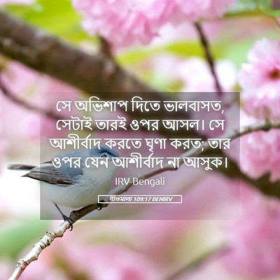 Picture 05 - গীতমালা 109:17 BENIRV - সে অভিশাপ দিতে - Bible Verse Picture