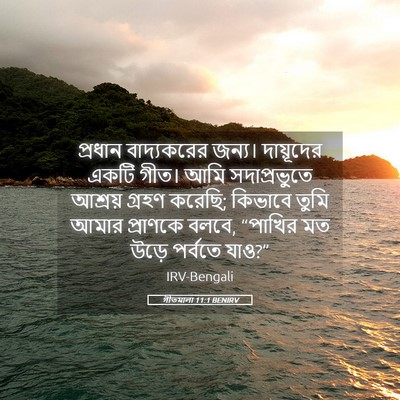 Picture 05 - গীতমালা 11:1 BENIRV - প্রধান বাদ্যকরের - Bible Verse Picture