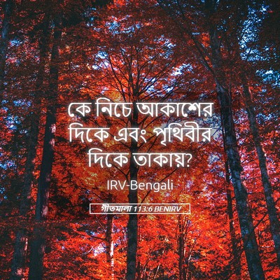Picture 05 - গীতমালা 113:6 BENIRV - কে নিচে আকাশের - Bible Verse Picture