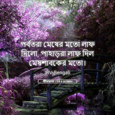 Picture 05 - গীতমালা 114:4 BENIRV - পর্বতরা মেষের মতো - Bible Verse Picture
