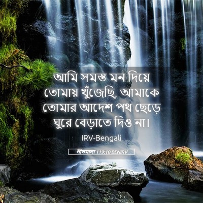 Picture 05 - গীতমালা 119:10 BENIRV - আমি সমস্ত মন দিয়ে - Bible Verse Picture