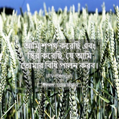 Picture 05 - গীতমালা 119:106 BENIRV - আমি শপথ করেছি এবং - Bible Verse Picture