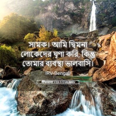 Picture 05 - গীতমালা 119:113 BENIRV - সামক। আমি দ্বিমনা - Bible Verse Picture