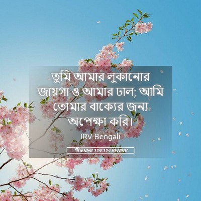 Picture 05 - গীতমালা 119:114 BENIRV - তুমি আমার লুকানোর - Bible Verse Picture