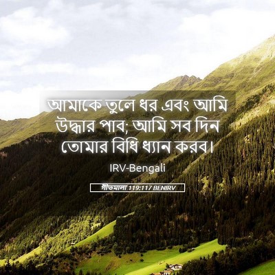 Picture 05 - গীতমালা 119:117 BENIRV - আমাকে তুলে ধর এবং - Bible Verse Picture
