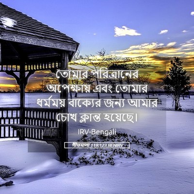 Picture 05 - গীতমালা 119:123 BENIRV - তোমার পরিত্রানের - Bible Verse Picture