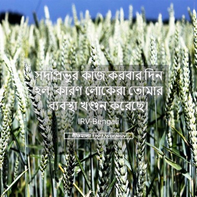 Picture 05 - গীতমালা 119:126 BENIRV - সদাপ্রভুুর কাজ - Bible Verse Picture