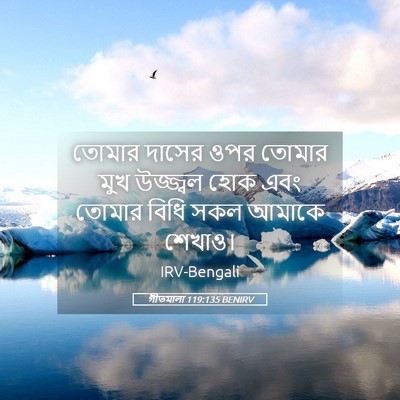 Picture 05 - গীতমালা 119:135 BENIRV - তোমার দাসের ওপর - Bible Verse Picture