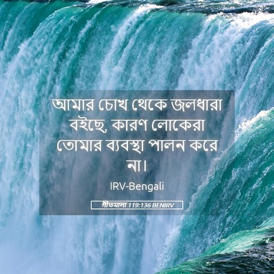 Picture 05 - গীতমালা 119:136 BENIRV - আমার চোখ থেকে - Bible Verse Picture