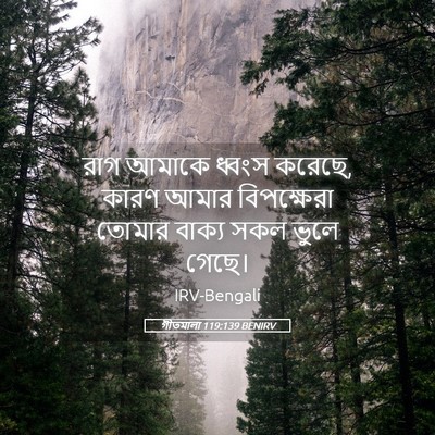 Picture 05 - গীতমালা 119:139 BENIRV - রাগ আমাকে ধ্বংস - Bible Verse Picture