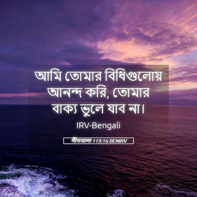 Picture 05 - গীতমালা 119:16 BENIRV - আমি তোমার - Bible Verse Picture