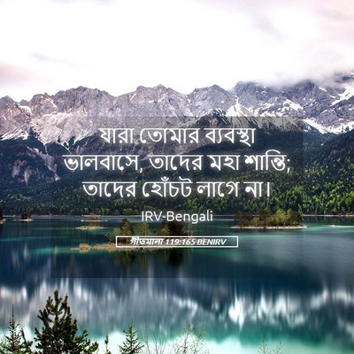 Picture 05 - গীতমালা 119:165 BENIRV - যারা তোমার - Bible Verse Picture