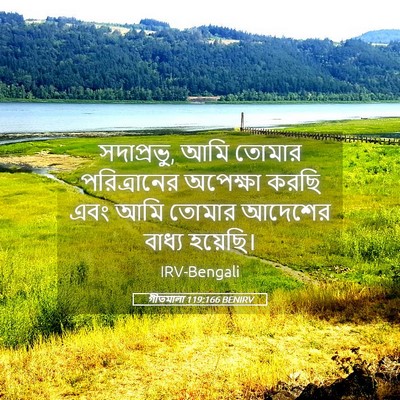 Picture 05 - গীতমালা 119:166 BENIRV - সদাপ্রভুু, আমি - Bible Verse Picture