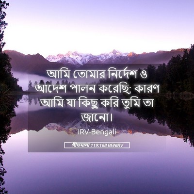 Picture 05 - গীতমালা 119:168 BENIRV - আমি তোমার নির্দেশ - Bible Verse Picture
