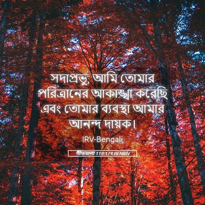 Picture 05 - গীতমালা 119:174 BENIRV - সদাপ্রভুু, আমি - Bible Verse Picture