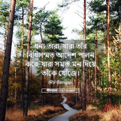 Picture 05 - গীতমালা 119:2 BENIRV - ধন্য তারা, যারা - Bible Verse Picture
