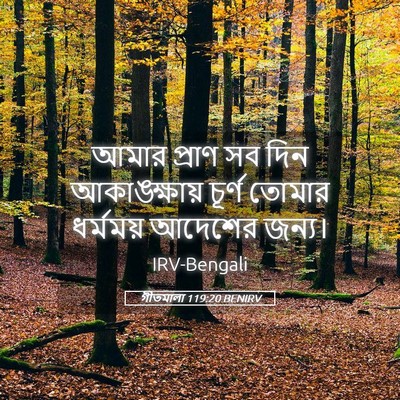 Picture 05 - গীতমালা 119:20 BENIRV - আমার প্রাণ সব দিন - Bible Verse Picture