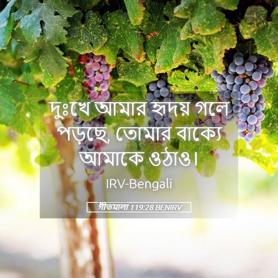 Picture 05 - গীতমালা 119:28 BENIRV - দুঃখে আমার হৃদয় - Bible Verse Picture