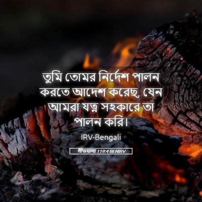 Picture 05 - গীতমালা 119:4 BENIRV - তুমি তোমর নির্দেশ - Bible Verse Picture