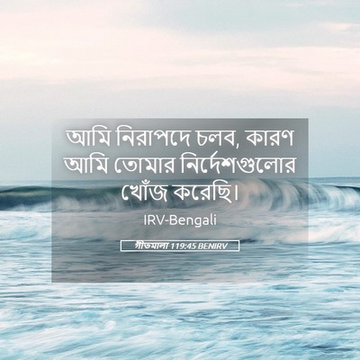 Picture 05 - গীতমালা 119:45 BENIRV - আমি নিরাপদে চলব, - Bible Verse Picture
