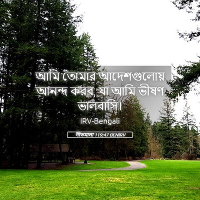 Picture 05 - গীতমালা 119:47 BENIRV - আমি তোমার - Bible Verse Picture