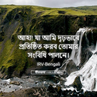 Picture 05 - গীতমালা 119:5 BENIRV - আহা! যা আমি - Bible Verse Picture