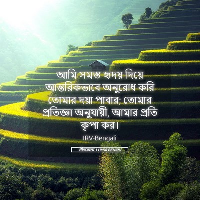 Picture 05 - গীতমালা 119:58 BENIRV - আমি সমস্ত হৃদয় - Bible Verse Picture