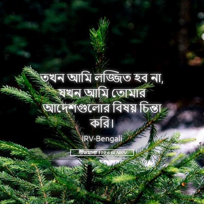 Picture 05 - গীতমালা 119:6 BENIRV - তখন আমি লজ্জিত হব - Bible Verse Picture
