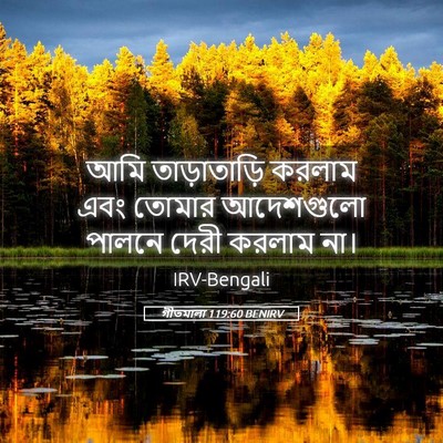 Picture 05 - গীতমালা 119:60 BENIRV - আমি তাড়াতাড়ি - Bible Verse Picture