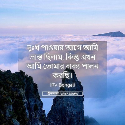 Picture 05 - গীতমালা 119:67 BENIRV - দুঃখ পাওয়ার আগে - Bible Verse Picture