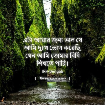 Picture 05 - গীতমালা 119:71 BENIRV - এটা আমার জন্য ভাল - Bible Verse Picture
