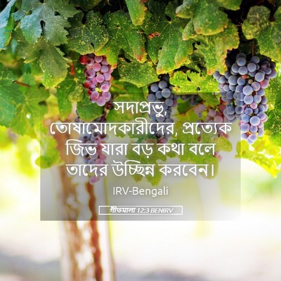Picture 05 - গীতমালা 12:3 BENIRV - সদাপ্রভুু, - Bible Verse Picture