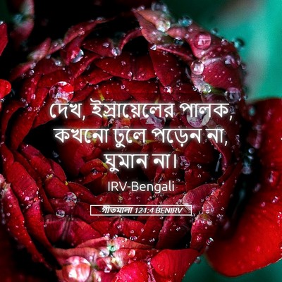Picture 05 - গীতমালা 121:4 BENIRV - দেখ, ইস্রায়েলের - Bible Verse Picture