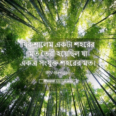 Picture 05 - গীতমালা 122:3 BENIRV - যিরুশালেম একটা - Bible Verse Picture
